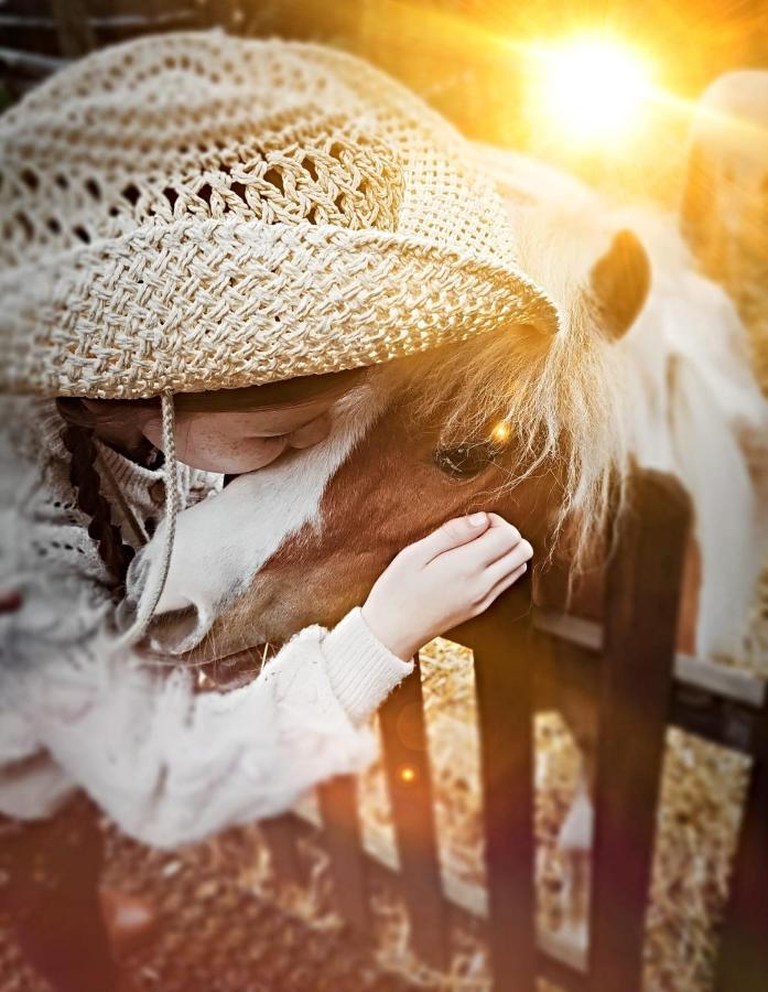 The Stable Annexe & Spa Dogdyke Екстериор снимка